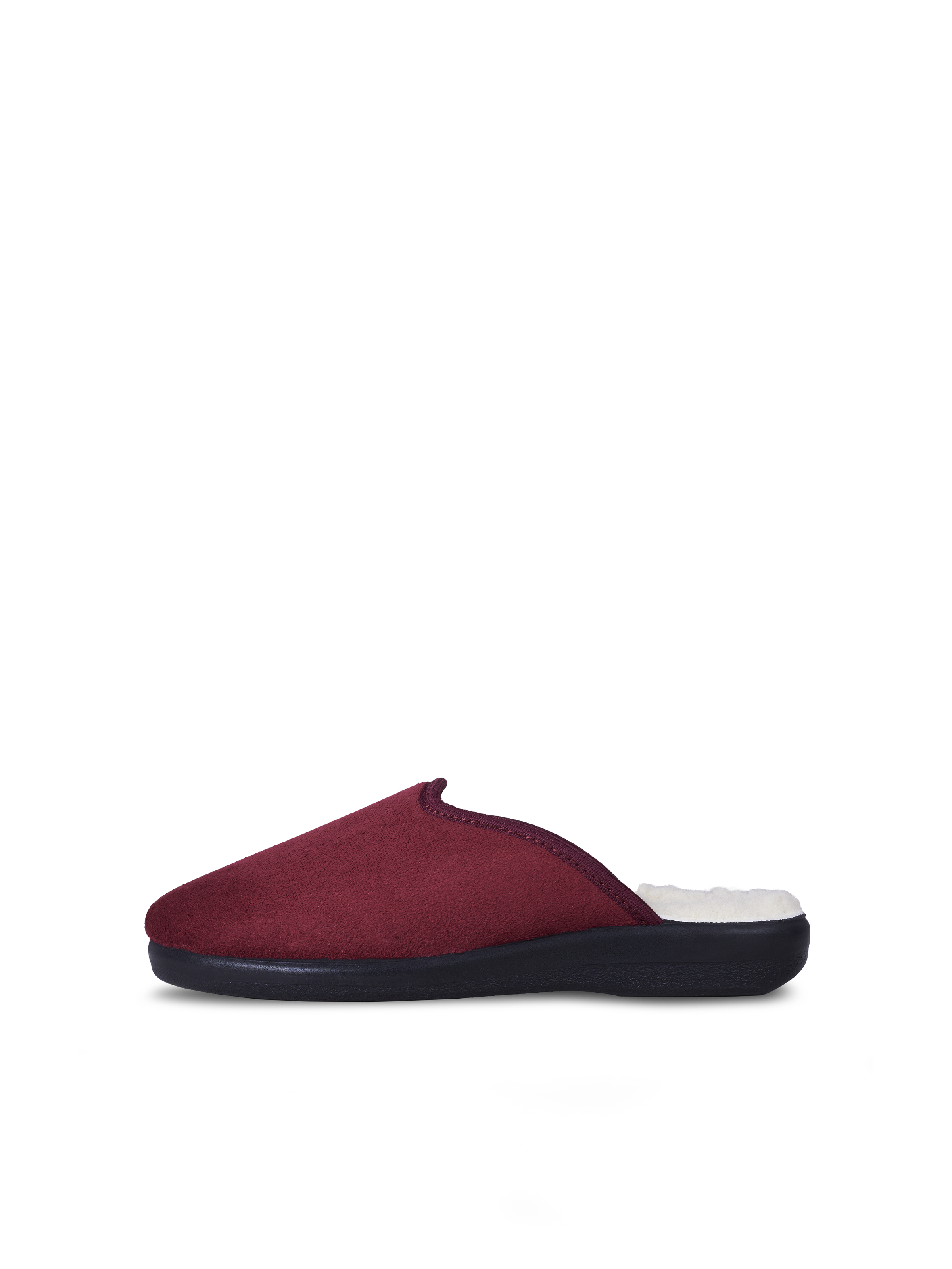 Holly Red