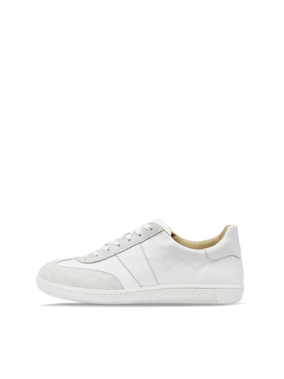Iconic White