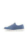 Pioneer Blue