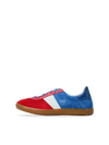 Spider Tricolor
