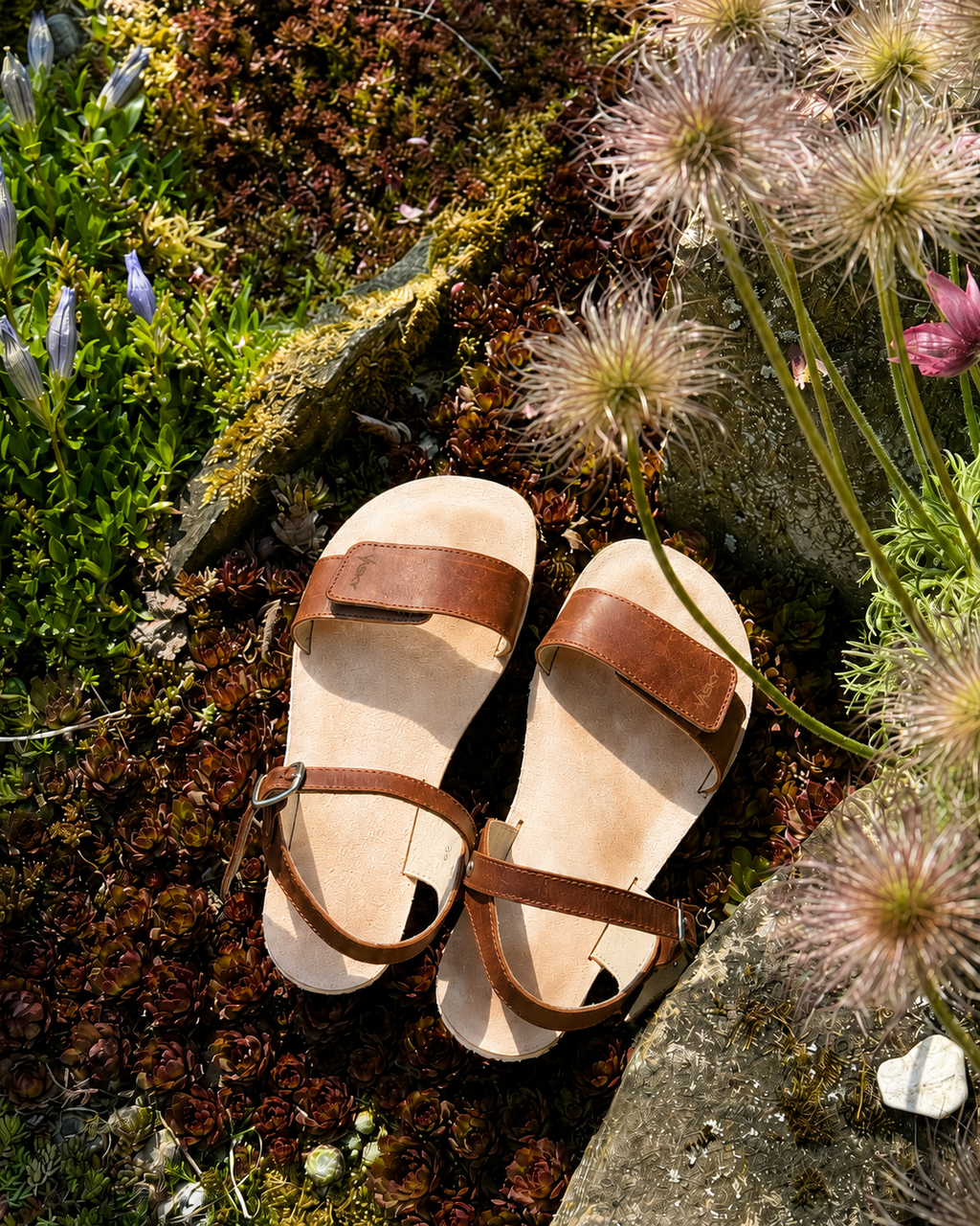 Barefoot Berry Brown