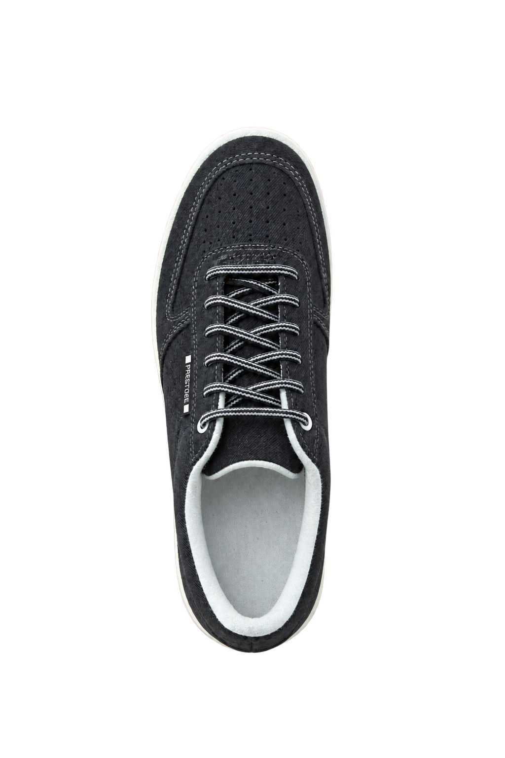 Prestige Shark – shora
